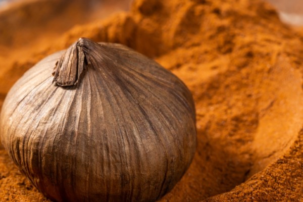 تصویر 4 از خرید و قیمت پودر سیر سیاه + فروش صادراتی